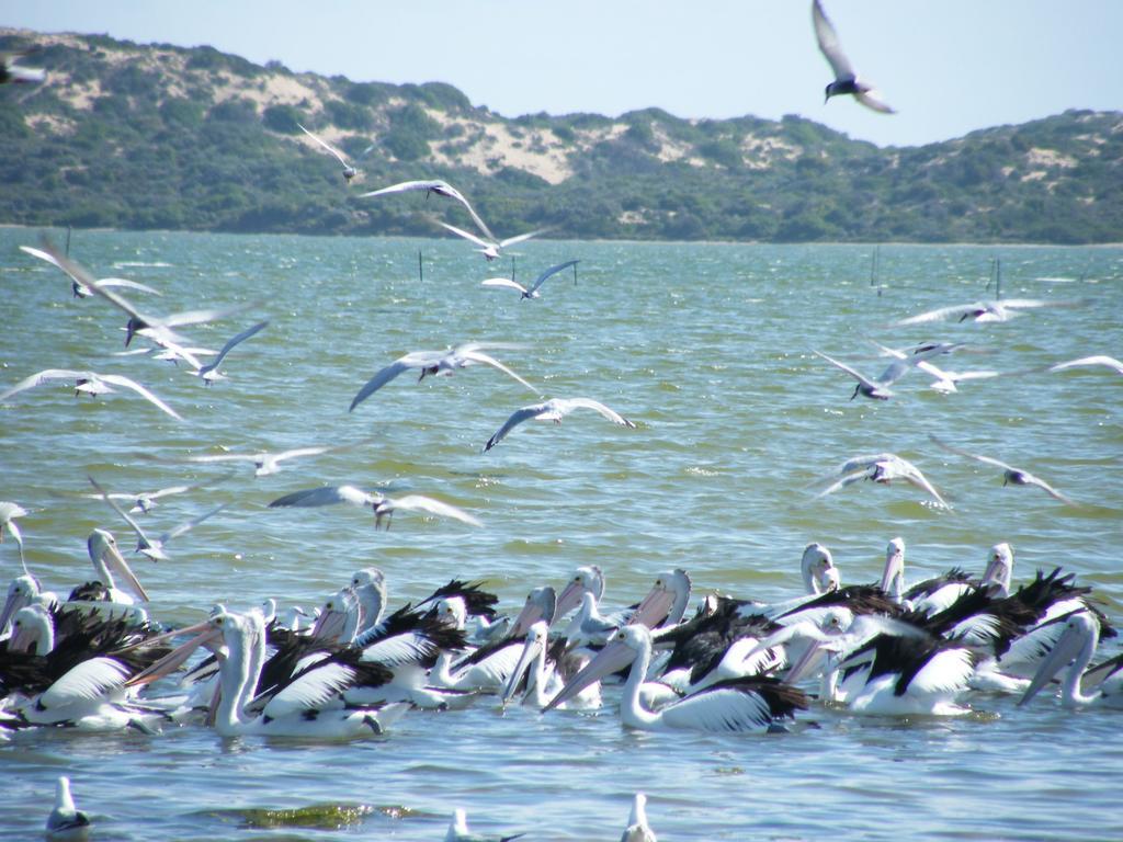 Coorong Waterfront Retreat Villa Meningie Bagian luar foto